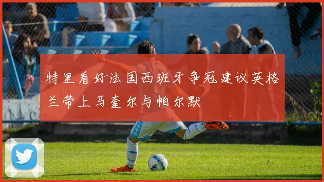 特里看好法国西班牙争冠建议英格兰带上马奎尔与帕尔默