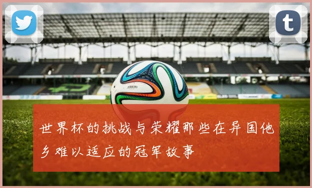 世界杯的挑战与荣耀那些在异国他乡难以适应的冠军故事