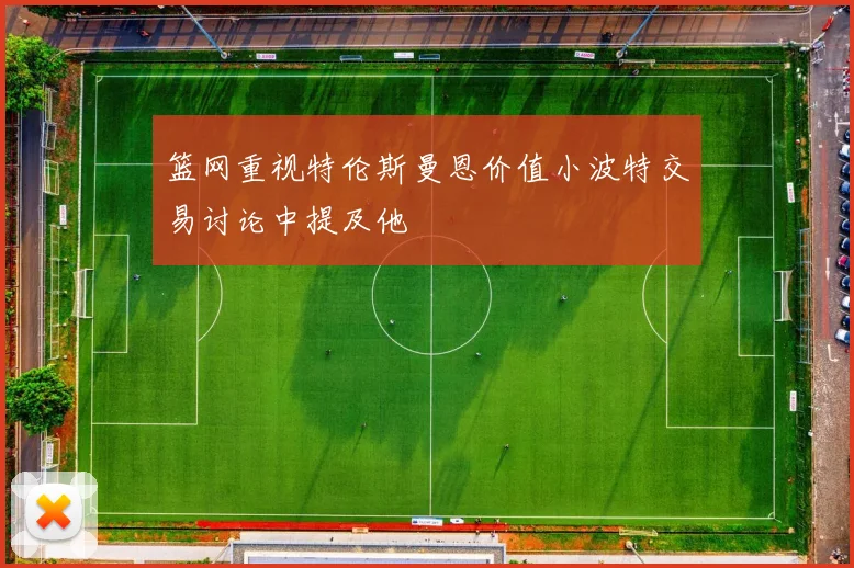 篮网重视特伦斯曼恩价值小波特交易讨论中提及他